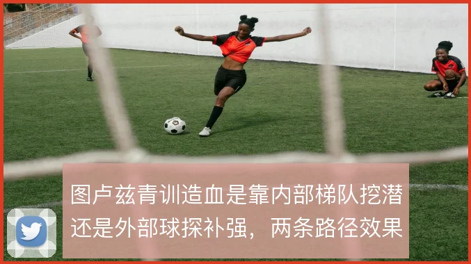 图卢兹青训造血是靠内部梯队挖潜还是外部球探补强，两条路径效果有别
